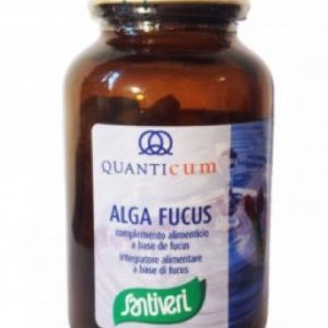 ALGA FUCUS 113 comprimidos