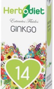 EXTRACTO GINKGO BILOBA