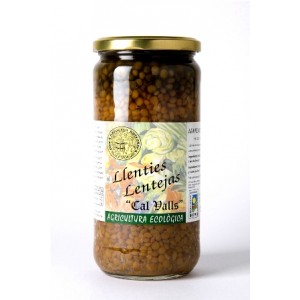 LENTEJAS CONSERVA BIO 450GR