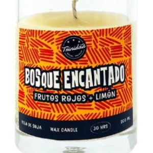 VELA VASO BOSQUE ENCANTADO 200 ML